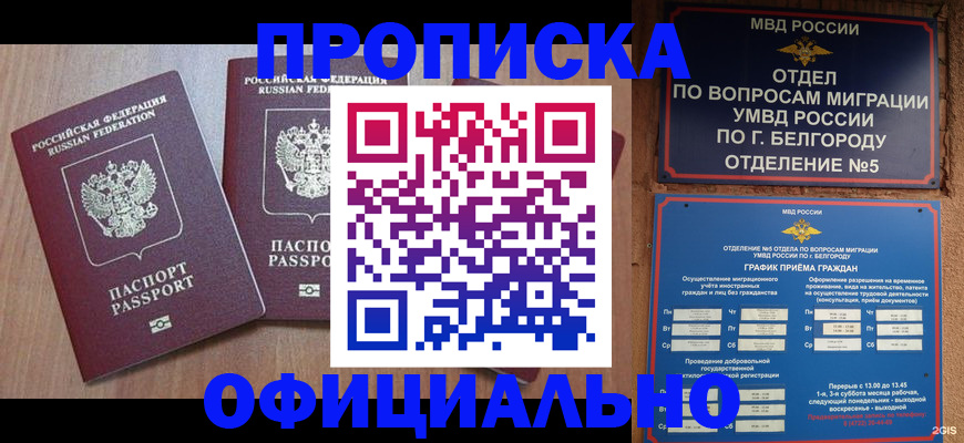 найти адрес прописки в Алексине